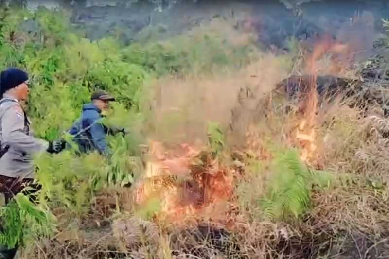 Gerak Cepat, Petugas Gabungan Berhasil Padamkan Kebakaran di Lereng Arjuno