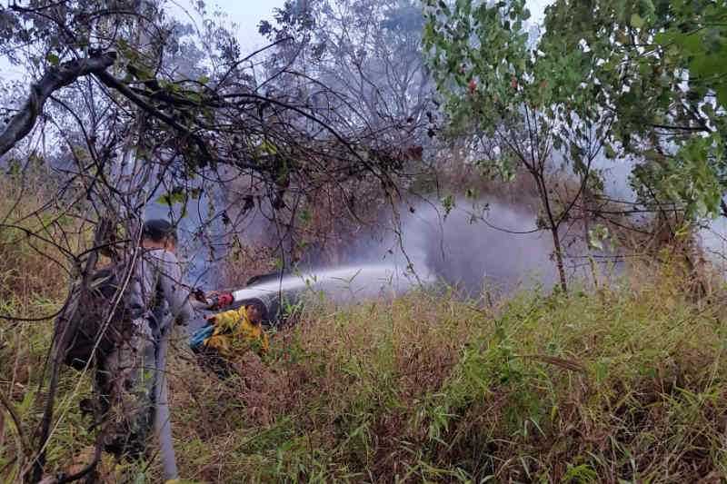 Gerak Cepat, Petugas Padamkan Kebakaran di Kawasan Hutan Gunung Ciremai Kuningan