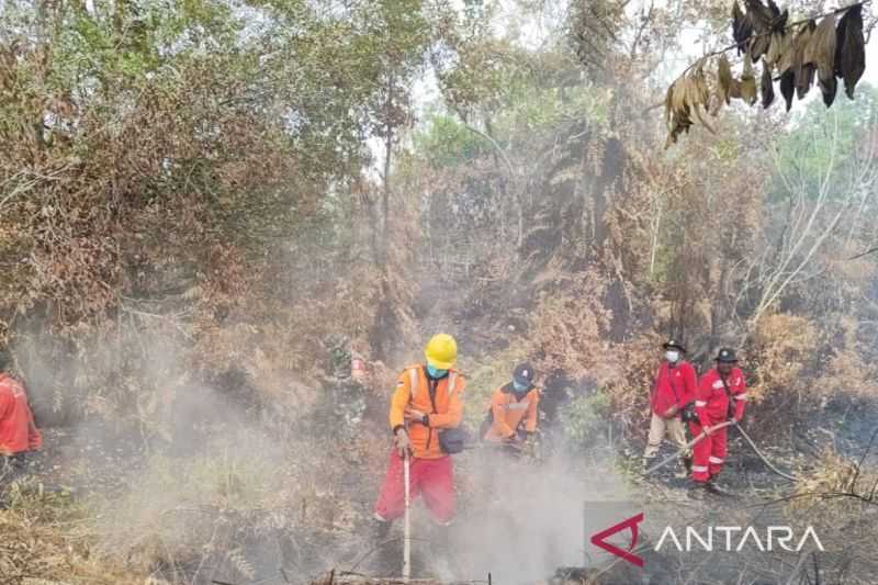 Gerak Cepat, Tim Gabungan Padamkan Karhutla yang Terjadi di Palangka Raya