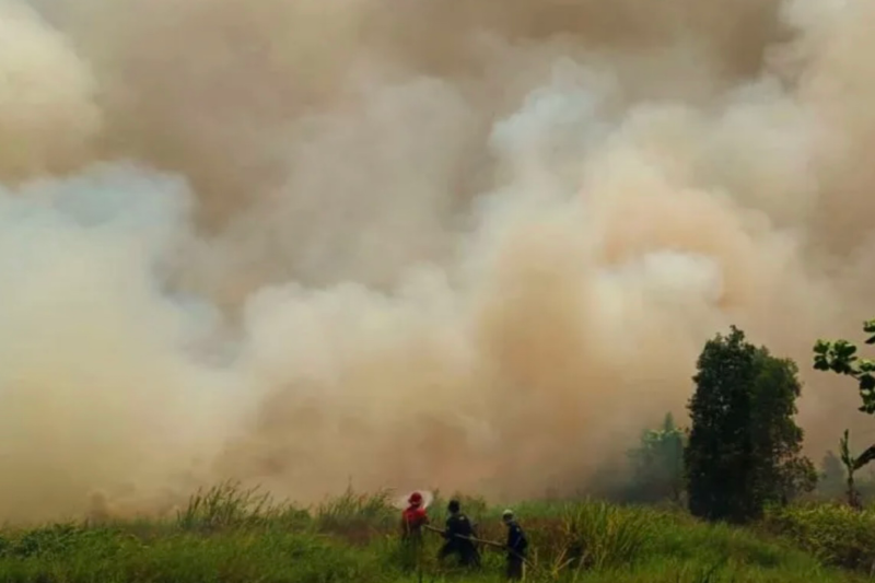 Gerak Cepat, Tim Gabungan Padamkan Kebakaran 30 Hektare Lahan di Tapin Kalsel