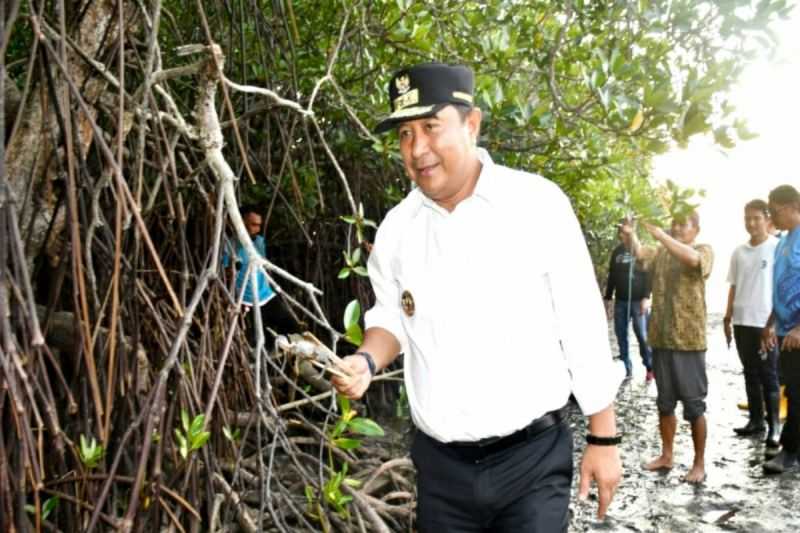 Gerakan Sepekan Menanam Mangrove pada HUT ke-20 Sulawesi Barat