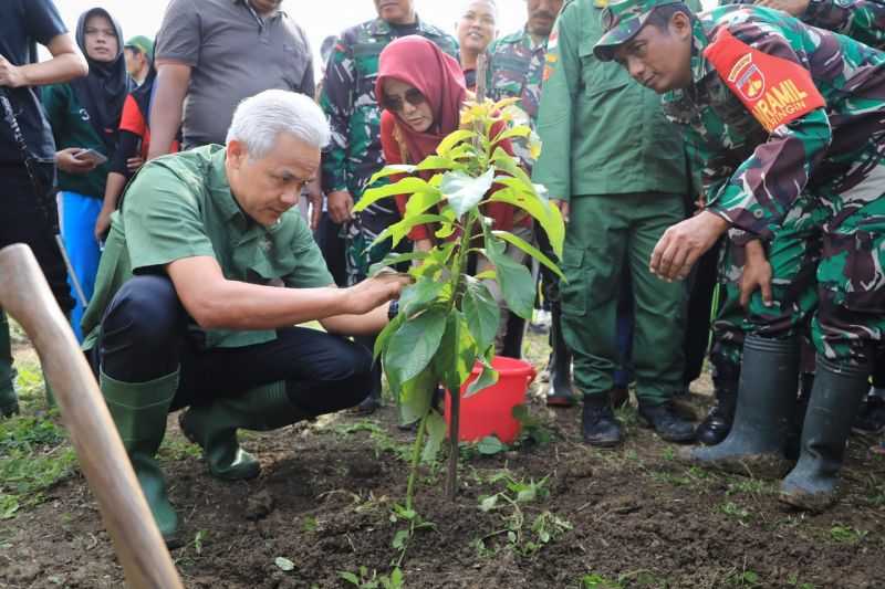 Gubernur Ganjar dan Warga Tanam 1.500 Bibit Pohon Selamatkan Lahan Kritis