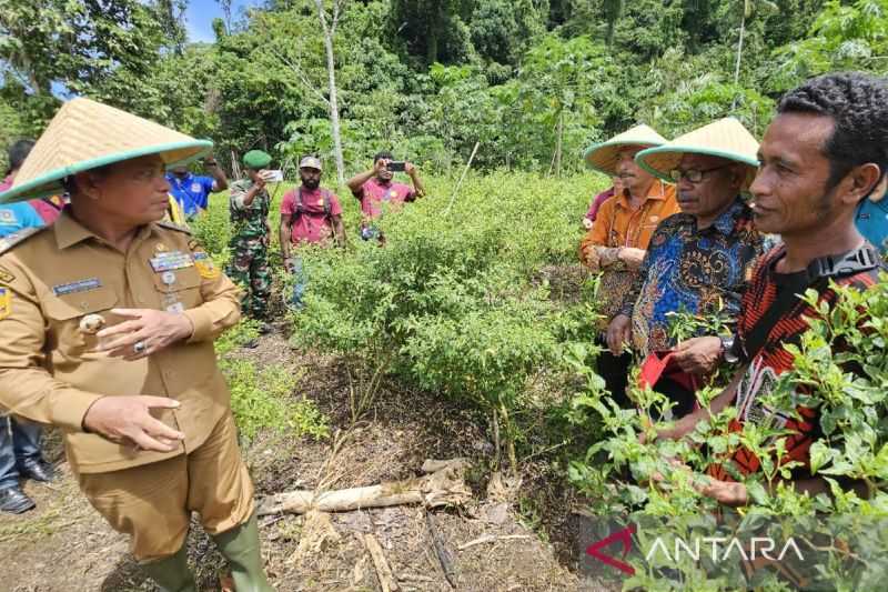 Gubernur Papua: Lahan HGU Milik Pemerintah Dapat Beralih Fungsi