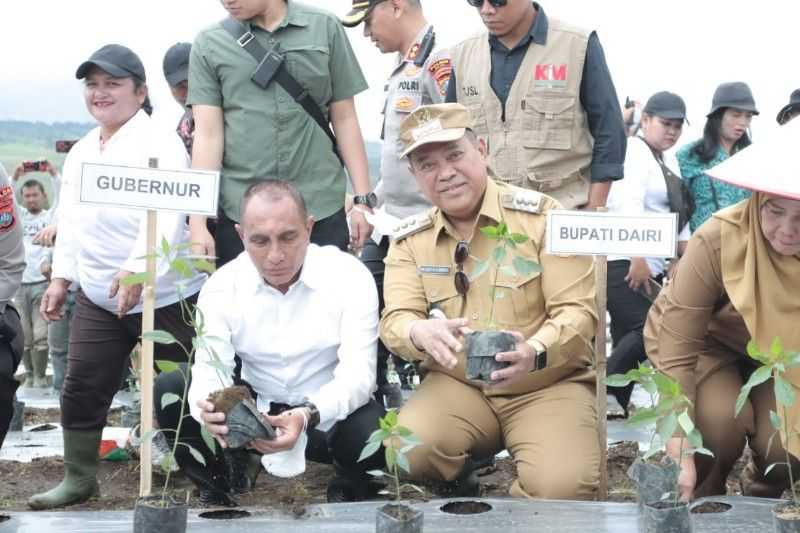 Gubernur Sumut Edy Rahmayadi Resmikan Kawasan Pertanian Terpadu di Kabupaten Dairi