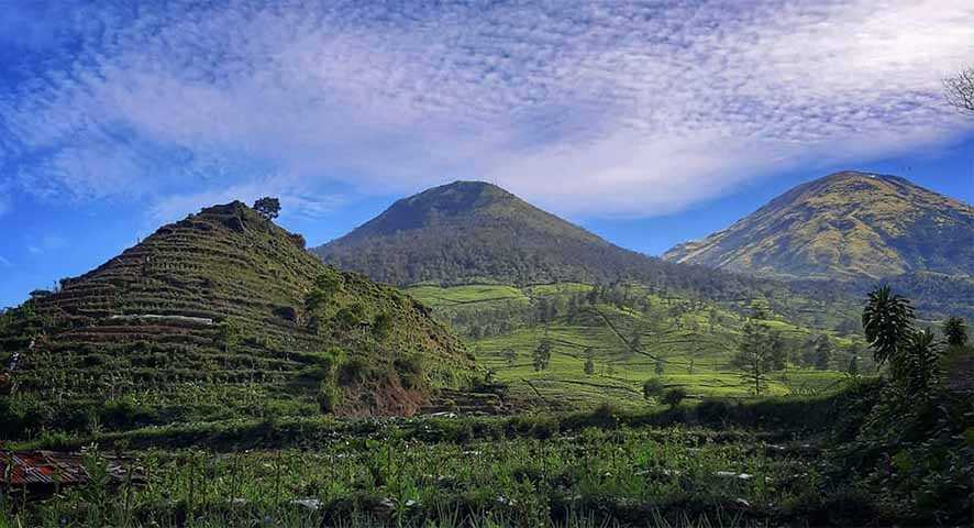 Gunung Cilik, Bukit Kecil Berbentuk Kerucut  di Kaki Gunung Kembang