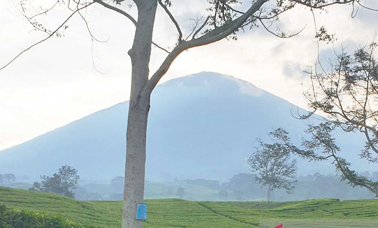 Gunung Dempo Pagaralam di Sumsel Berstatus Waspada!