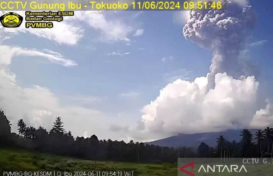 Gunung Ibu Kembali Meletus, Muntahkan Abu Vulkanik Setinggi 2,5 Km