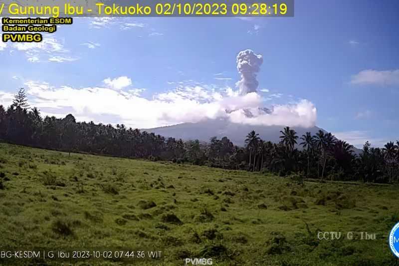 Gunung Ibu Meletus, Lontarkan Abu Vulkanik Setinggi 1.100 Meter