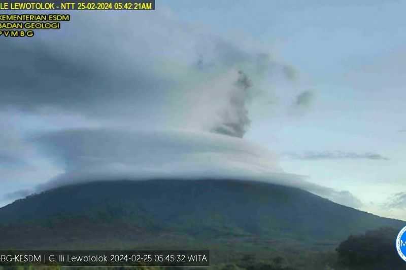Gunung Ili Lewotolok Meletus, Lontarkan Abu Vulkanik Setinggi 1 Km