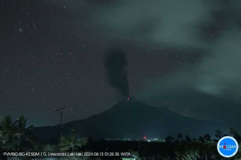 Gunung Lewotobi Laki-Laki Lontarkan Abu Setinggi 700 Meter