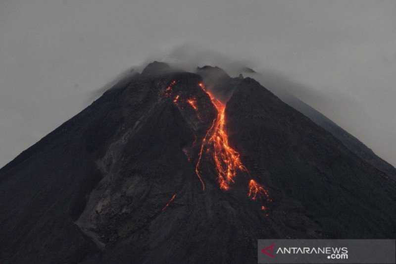 Gunung Merapi Meluncurkan Lava Pijar Sejauh 1,6 Km