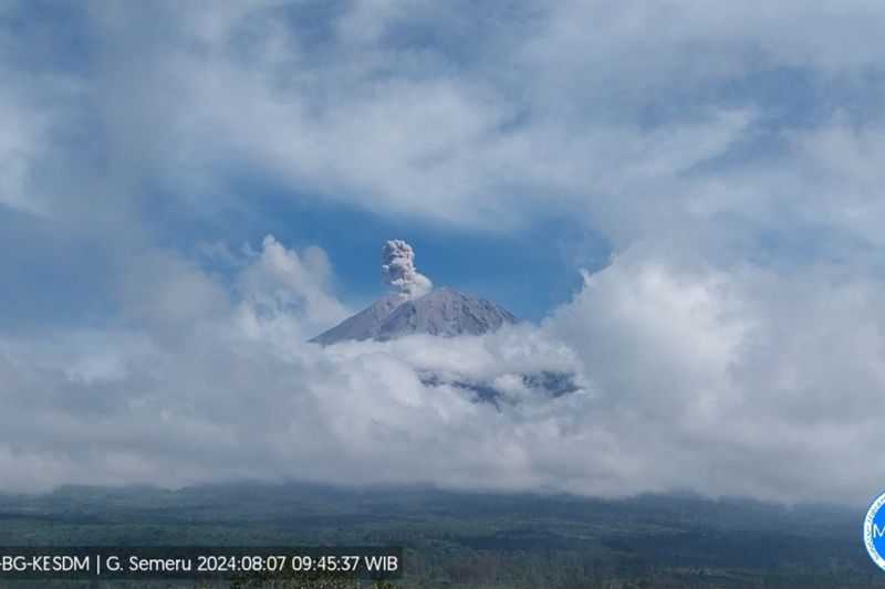 Gunung Semeru Beberapa Kali Erupsi dengan Amplitudo Hingga 23 Mm