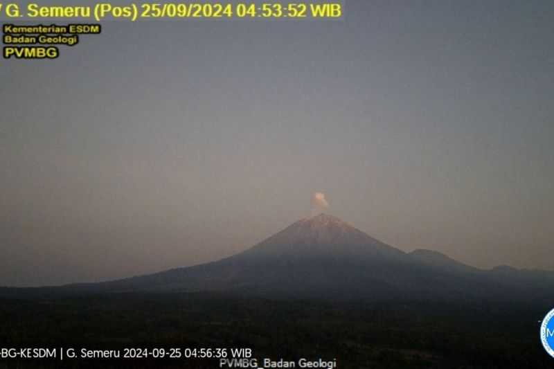 Gunung Semeru Beberapa Kali Erupsi dengan Tinggi Letusan 600 Meter