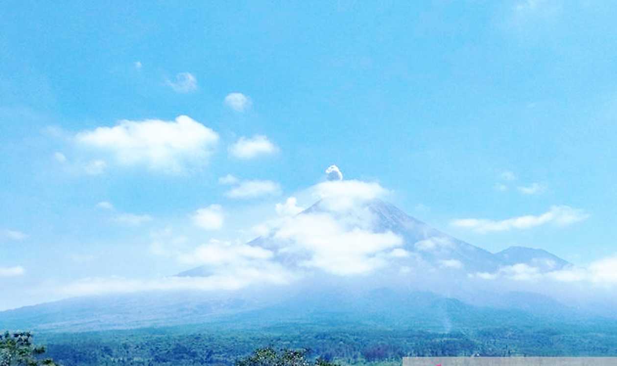 Gunung Semeru Erupsi 11 Kali