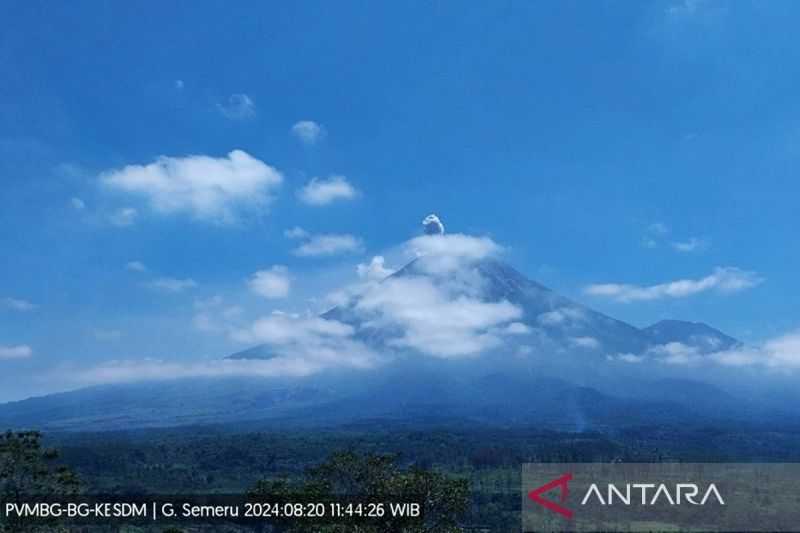 Gunung Semeru Erupsi 11 Kali pada Minggu