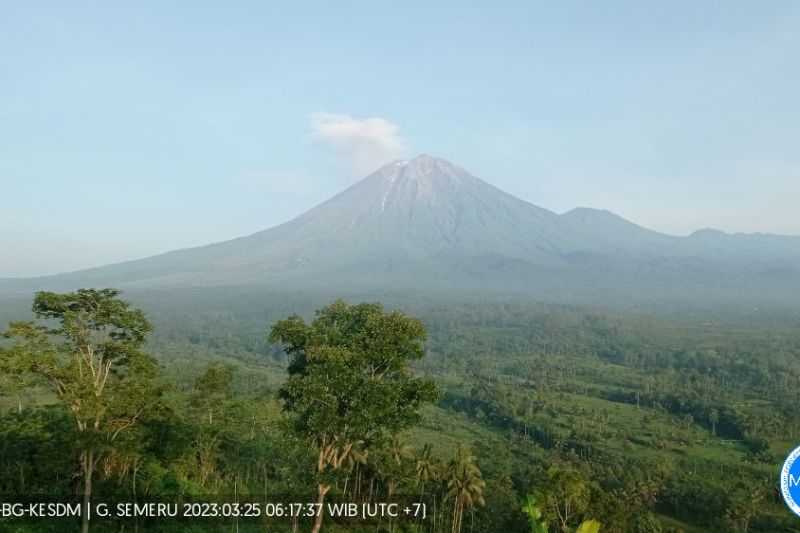 Gunung Semeru Erupsi 21 Kali, Warga Dimbau Menjauh 5 Km dari Puncak