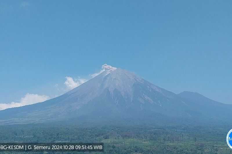 Gunung Semeru Erupsi Lagi, Letusan hingga 800 Meter