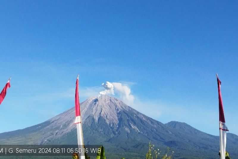 Gunung Semeru Erupsi Lagi, Letusan Setinggi 600 Meter