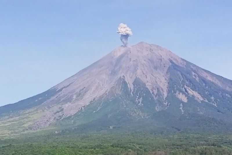 Gunung Semeru Erupsi Lagi, Letusan Setinggi 800 Meter