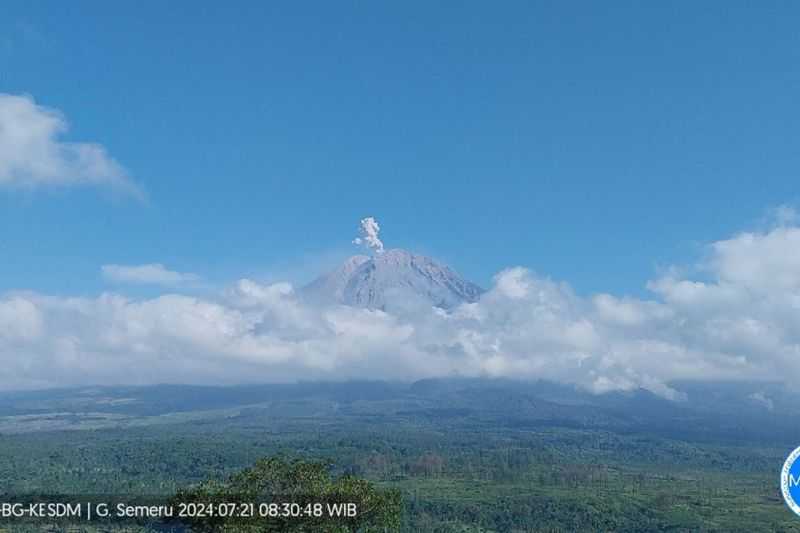 Gunung Semeru Erupsi Tiga Kali pada Selasa Pagi