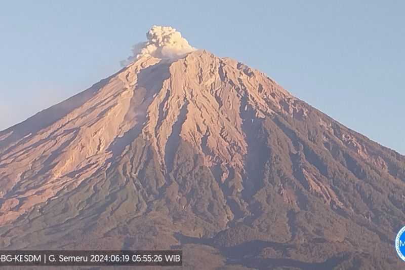 Gunung Semeru Erupsi, Tinggi Letusan 600 Meter di Atas Puncak