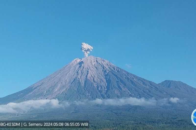 Gunung Semeru Kembali Erupsi, Tinggi Letusan Capai 600 Meter