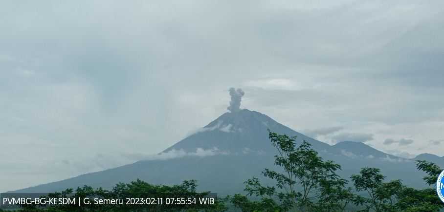 Gunung Semeru Meletus Lagi, Tinggi Letusan Hingga 600 Meter