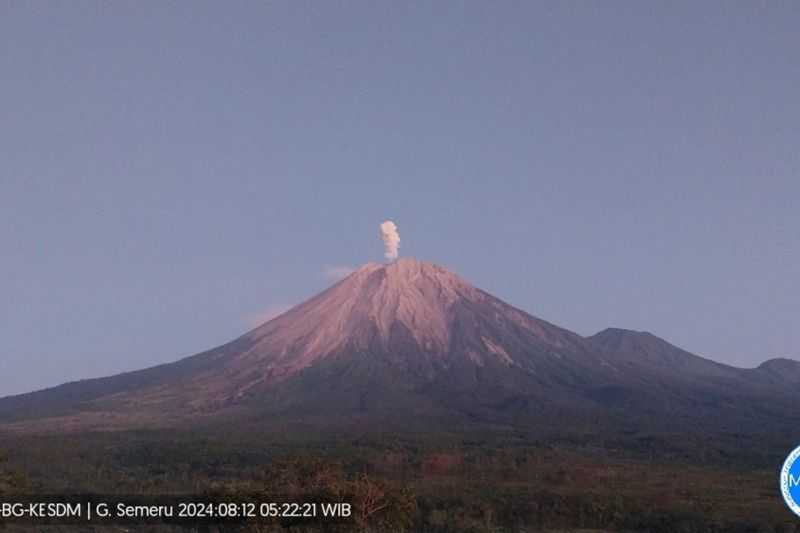 Gunung Semeru Terus Erupsi, Lontarkan Abu Vulkanik Setinggi 800 Meter