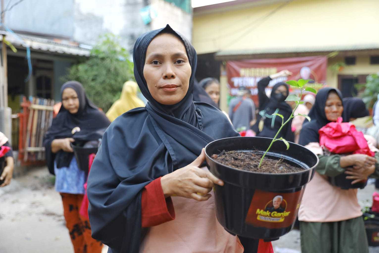 Harga Cabai di Pasar Naik, Mak Ganjar Tanam Ratusan Pohon Cabai di Jakarta Timur 2