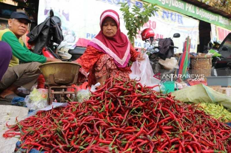 Harga Cabai Merah di Daerah Sumatera Kian Mahal hingga Sentuh Rp120.000 per Kg