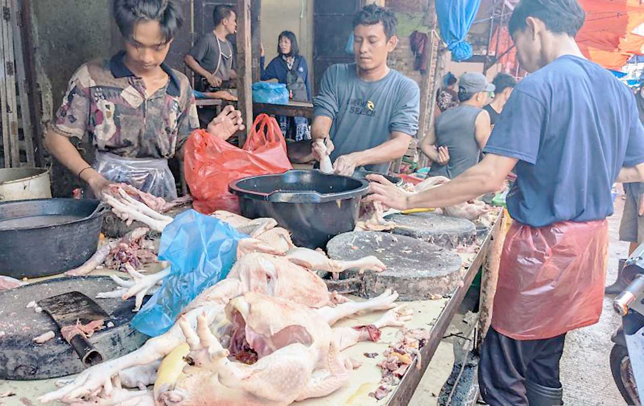 Harga Daging Ayam Ras Lebihi Harga Acuan di Medan
