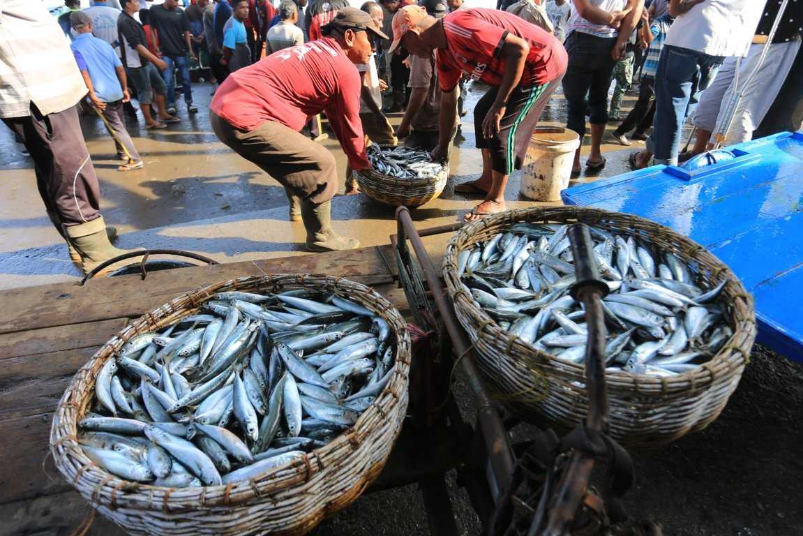 Harga Ikan Naik