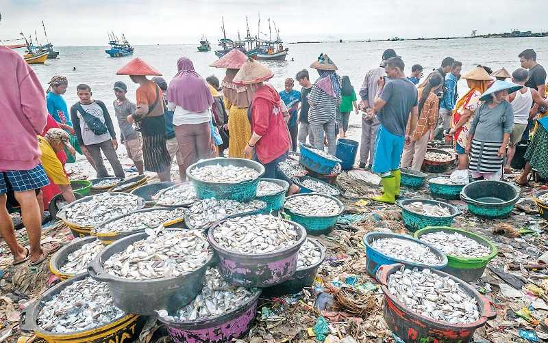 HARGA IKAN NAIK DAMPAK KENAIKAN BBM