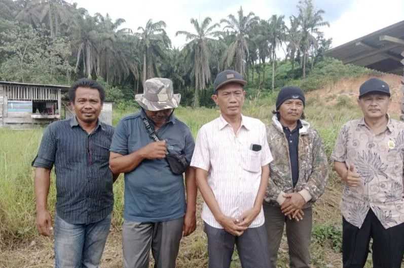 Harga Pupuk Selangit, Petani Sawit Makin Menjerit