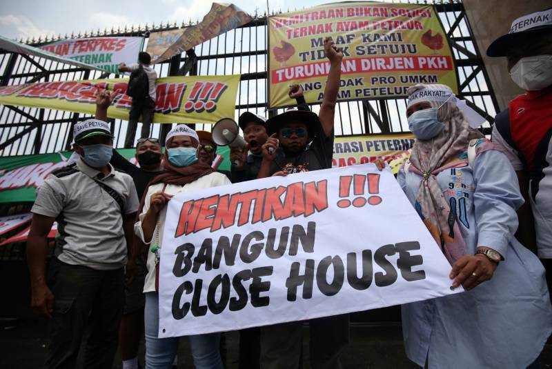 Harga Telur Anjlok, Peternak Gelar Unjuk Rasa di Jakarta 1