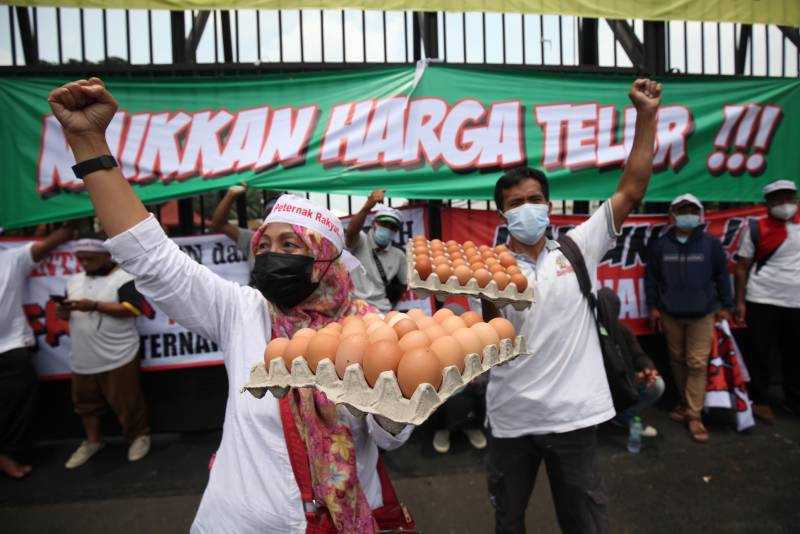 Harga Telur Anjlok, Peternak Gelar Unjuk Rasa di Jakarta 2