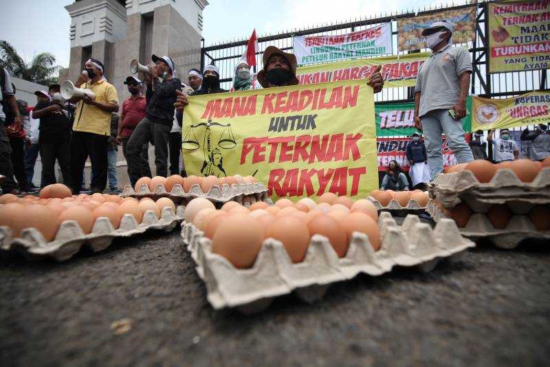Harga Telur Anjlok, Peternak Gelar Unjuk Rasa di Jakarta 3