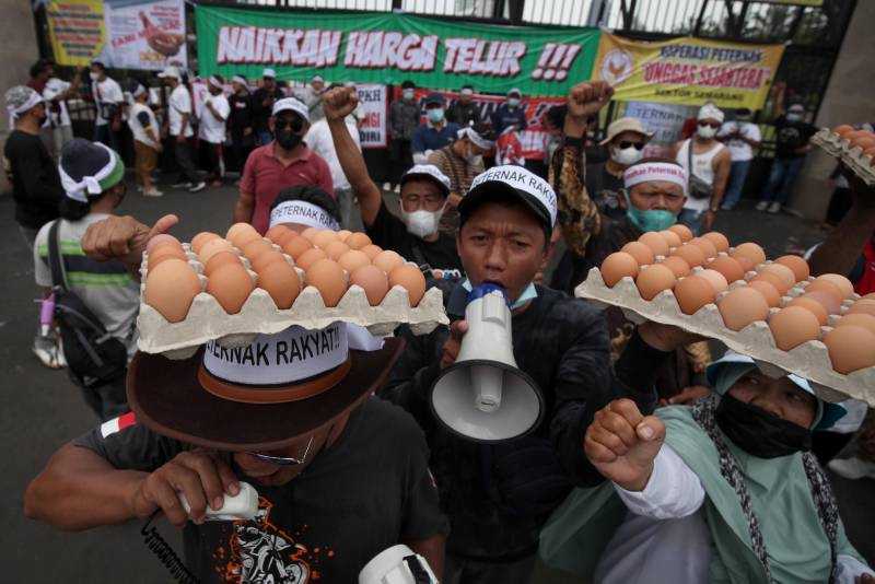 Harga Telur Anjlok, Peternak Gelar Unjuk Rasa di Jakarta 4