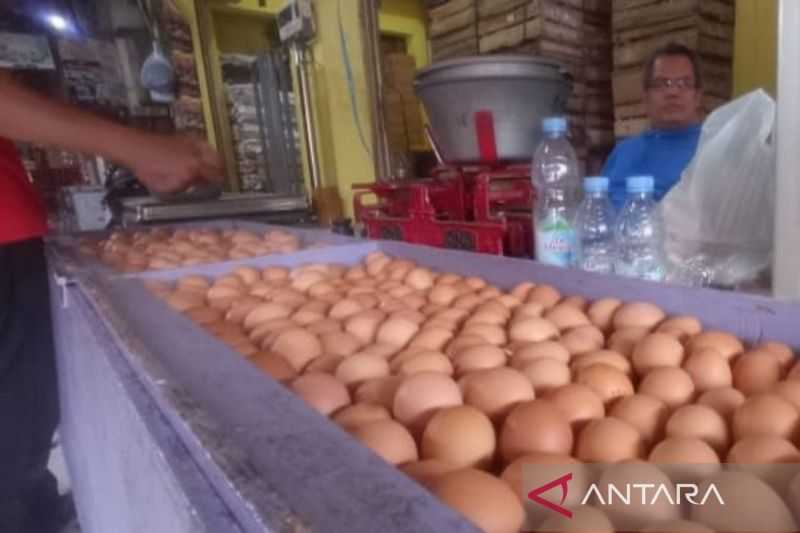 Harga Telur Ayam Naik Jelang Idul Adha, di Cianjur Kenaikan Mencapai 25%