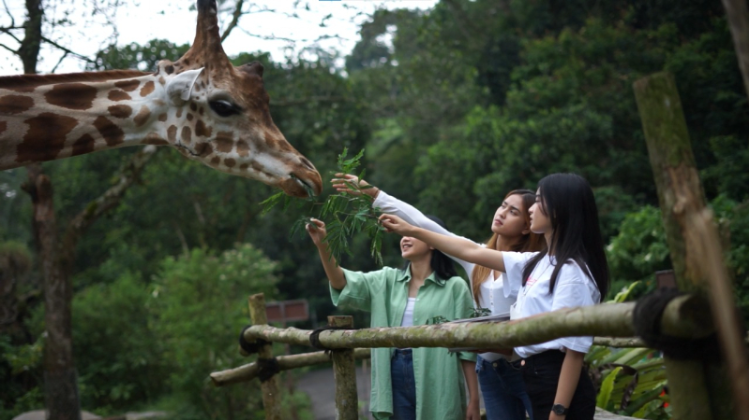 Harga Tiket Taman Safari Bogor Terbaru per 8 Januari 2024