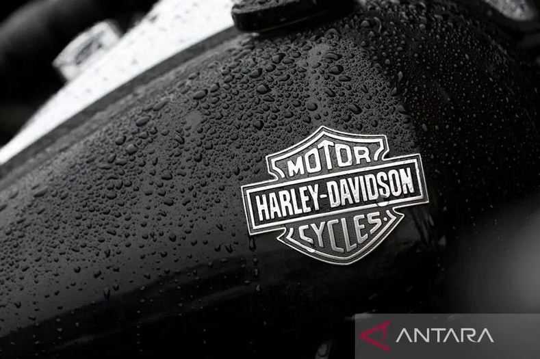 Harley Davidson Bocorkan Moge Baru yang Bakal Dirilis Tahun Depan