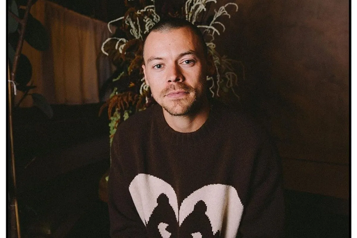 Harry Styles Pamer Rambut 'Buzz Cut' di Medsos