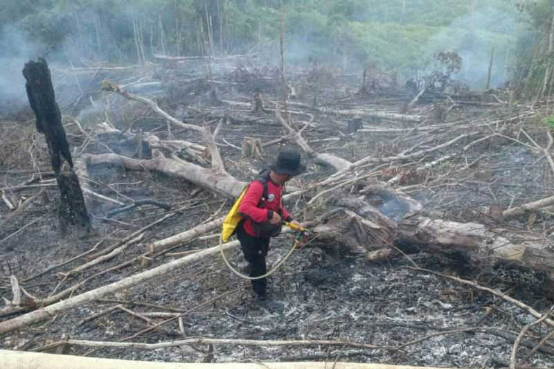 Harus Cepat Diatasi, BMKG Deteksi 12 Titik Panas di Kalimantan Timur