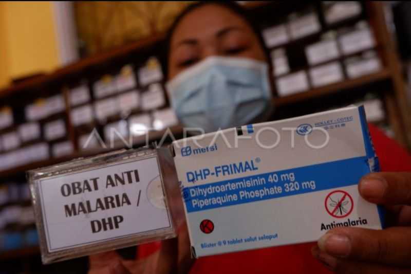 Hati-hati Kembali dari Daerah Endemis Malaria, Segera ke Dokter Jika Alami Gejala Ini