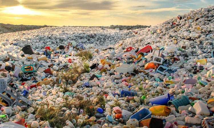 Hebat! Bisa Selamatkan Dunia, Varian Enzim Ini Bisa Tangani Limbah dan Hancurkan Sampah Plastik