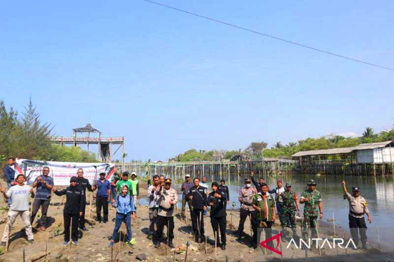 Humas Polres Kulon Progo tanam bibit mangrove di Pasir Kadilangu