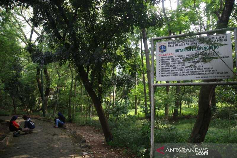 Hutan Kota Srengseng Bisa Jadi Pilihan Warga untuk Olahraga 'Jogging'