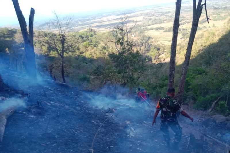 Hutan Lindung di Lombok Tengah Terbakar