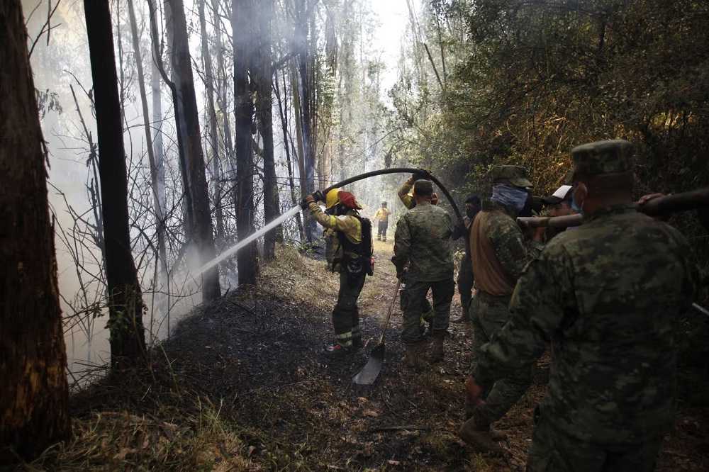 Ibu Kota Ekuador Dilanda Lima Kebakaran Hutan