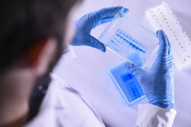 Ilmuwan Jepang Klaim Temukan Vaksin untuk Membasmi Sel 'Zombie' Penyebab Penuaan